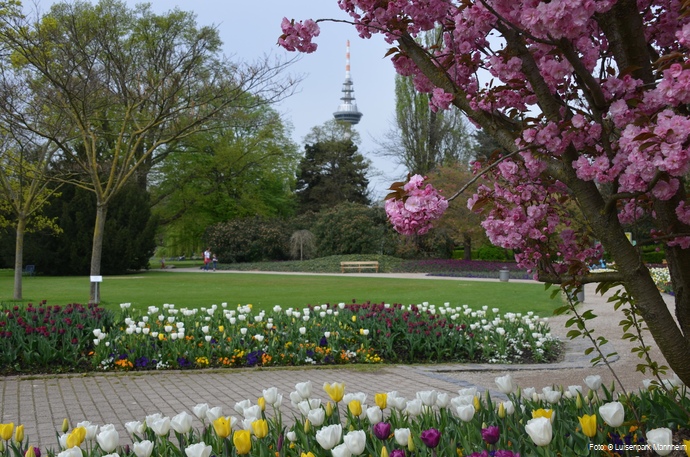 Luisenpark